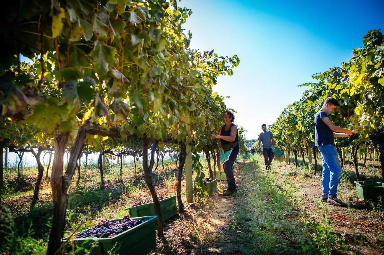 Villa La Gelsomina - Etna à Presa Séjour à la ferme
