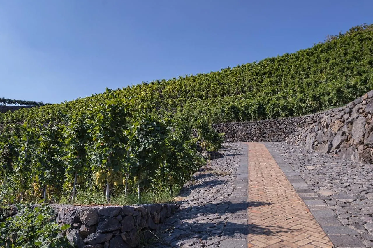 Villa La Gelsomina - Etna à Presa 0*,