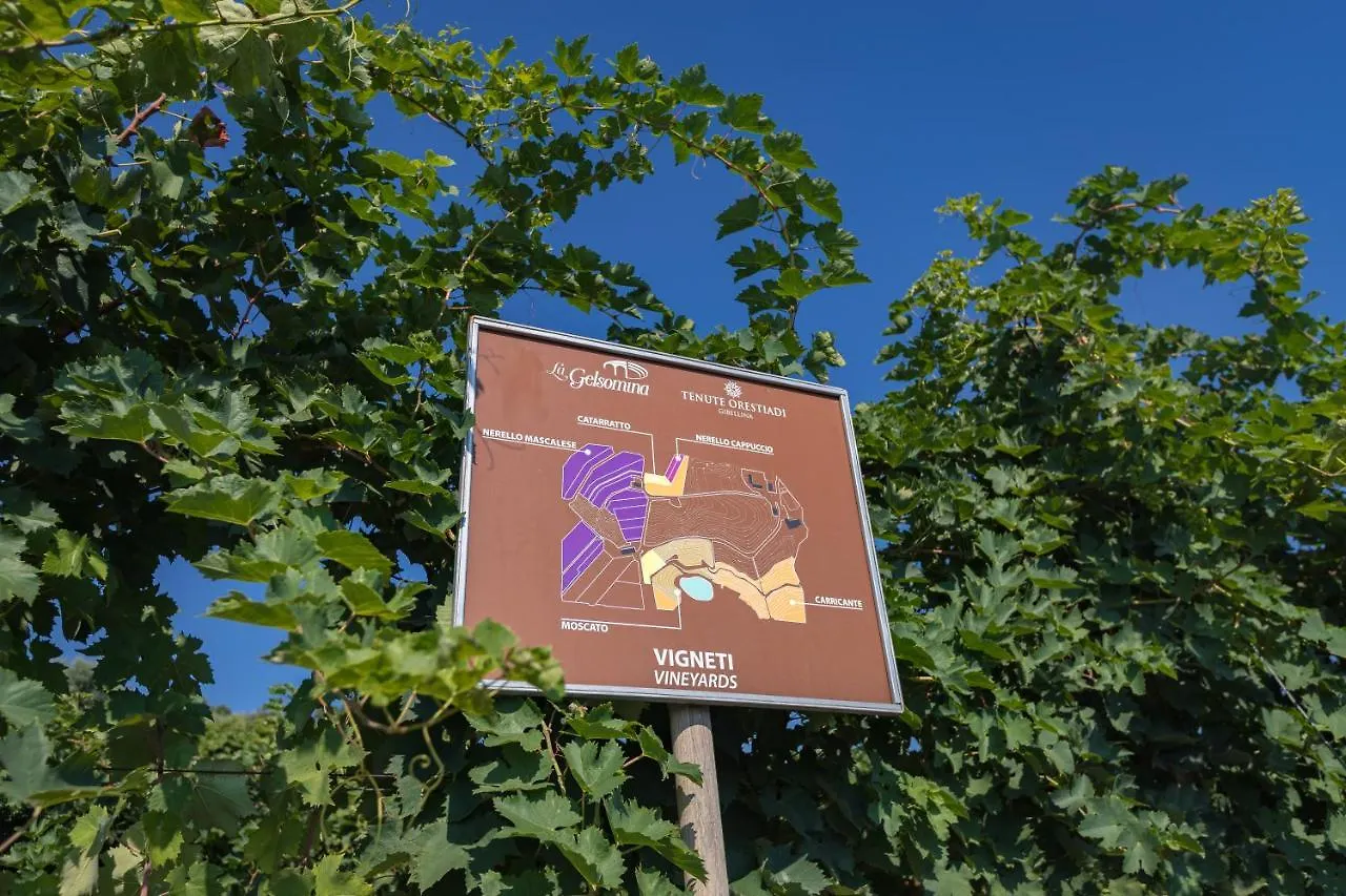 Villa La Gelsomina - Etna Presa