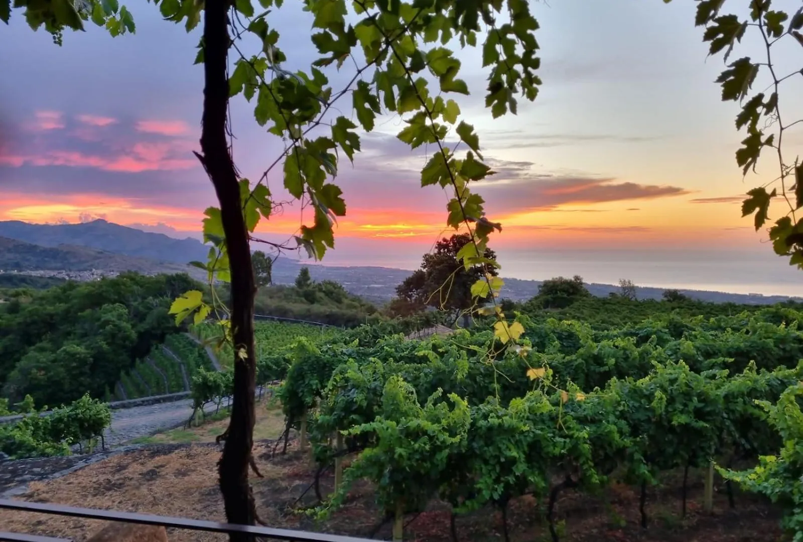 Villa La Gelsomina - Etna à Presa Séjour à la ferme